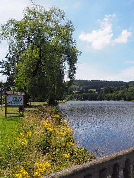 Vielsalm (België)